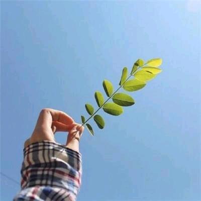林慧妹