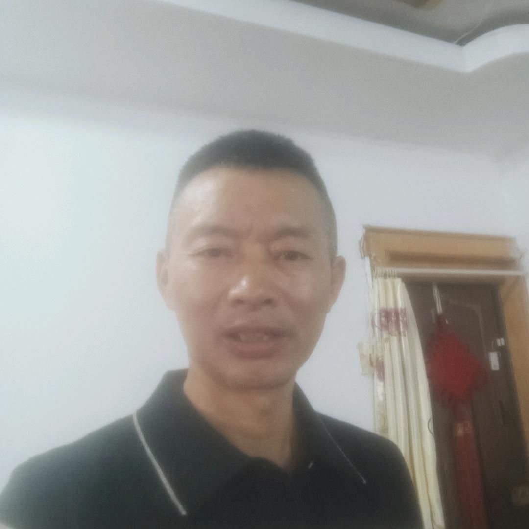 招财进宝