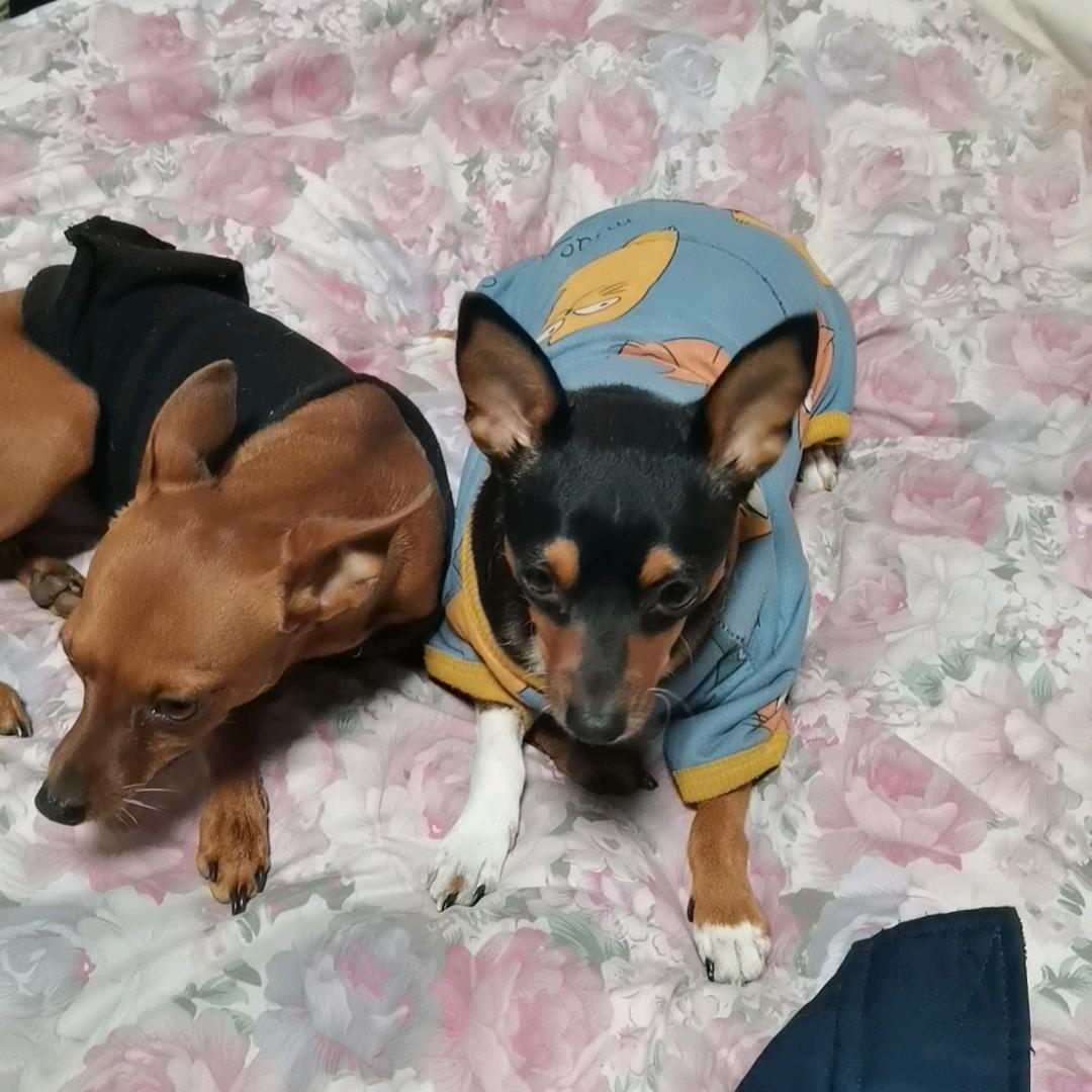 好友