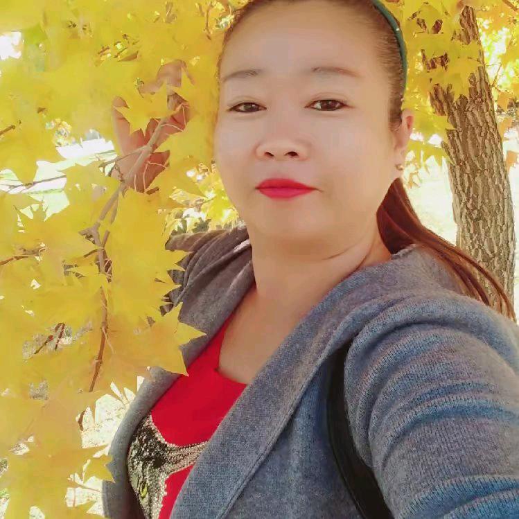 明月儿