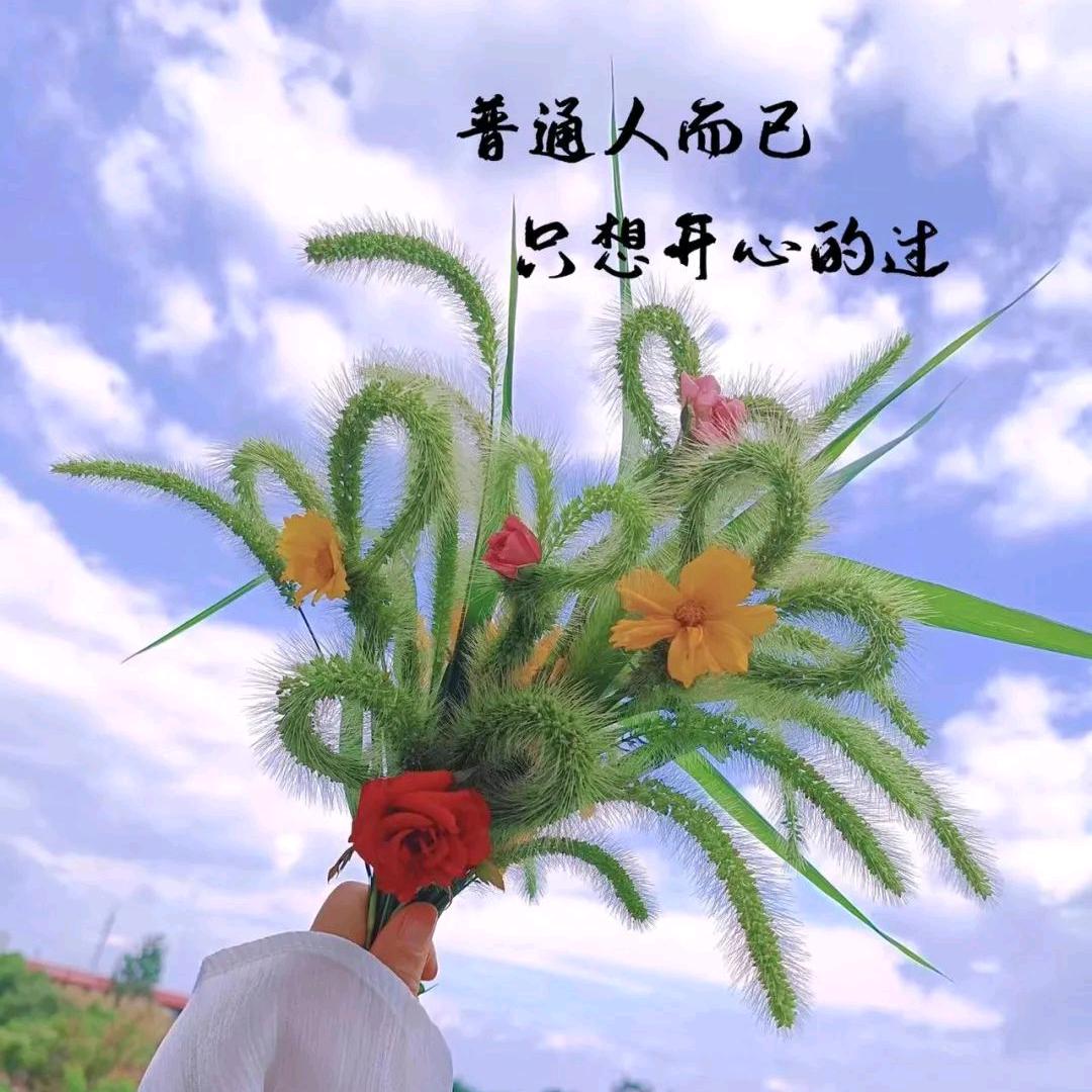 中郯脱氧剂