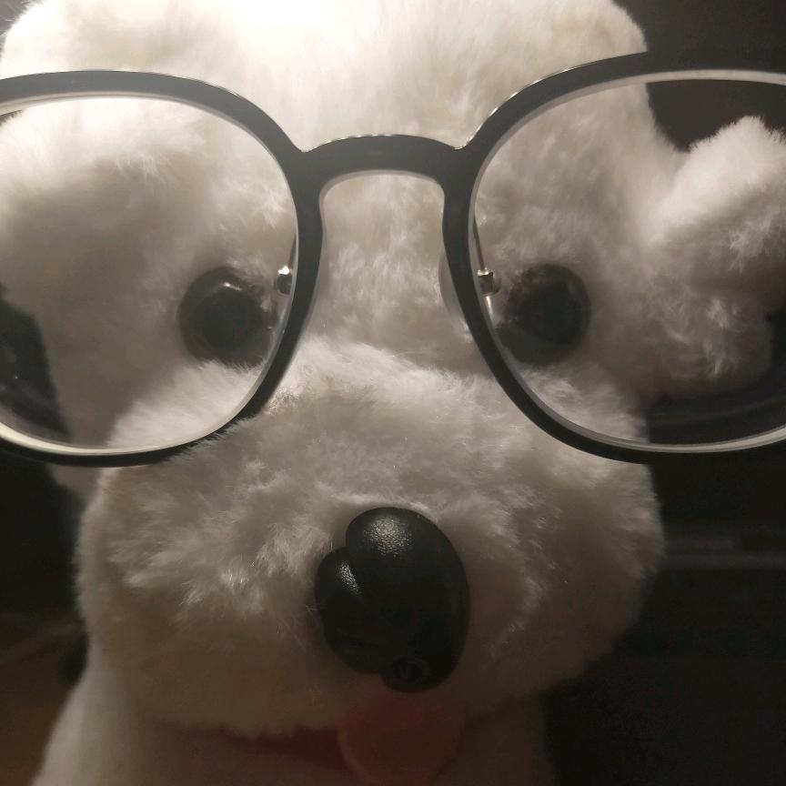 眼镜小狗