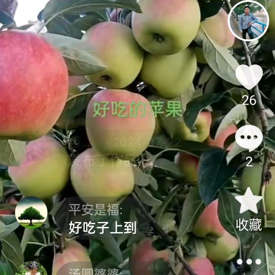 百果采摘园
