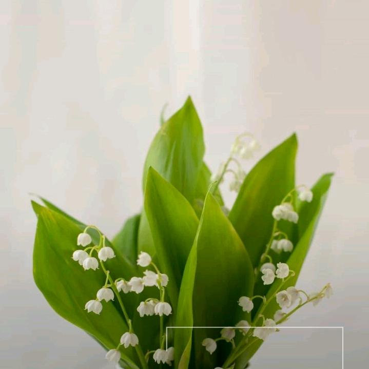健康是福