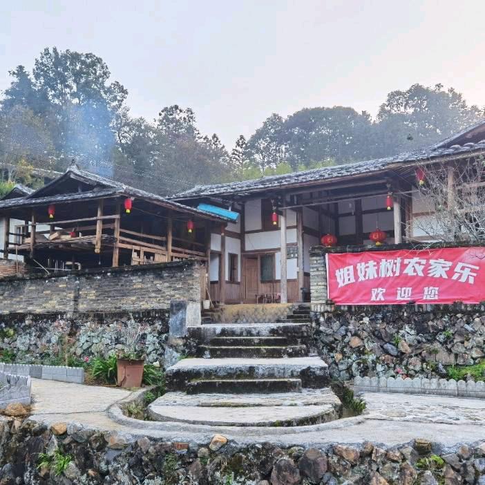 古银杏林姐妹树农家乐