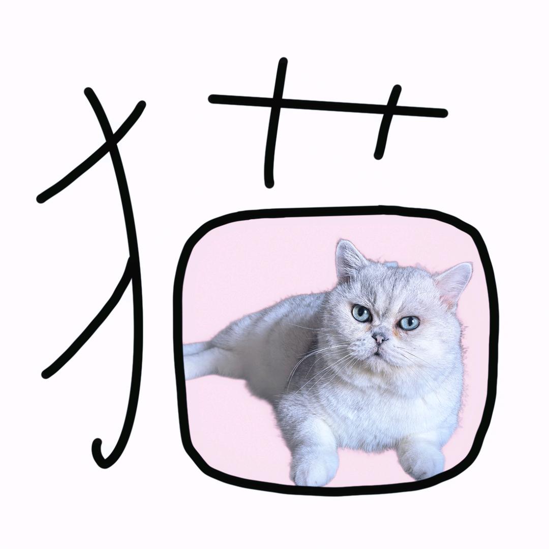 一团喵喵