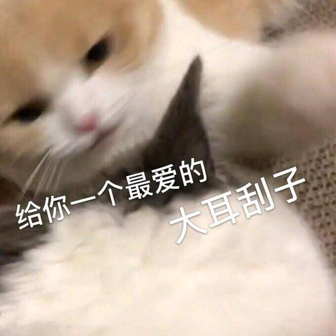 哥来看看-