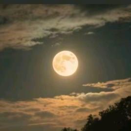 黑夜的星河