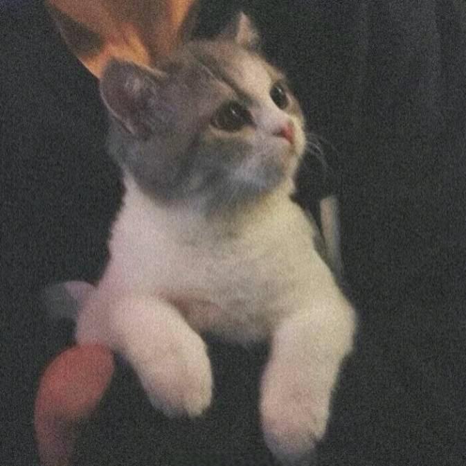 俗人