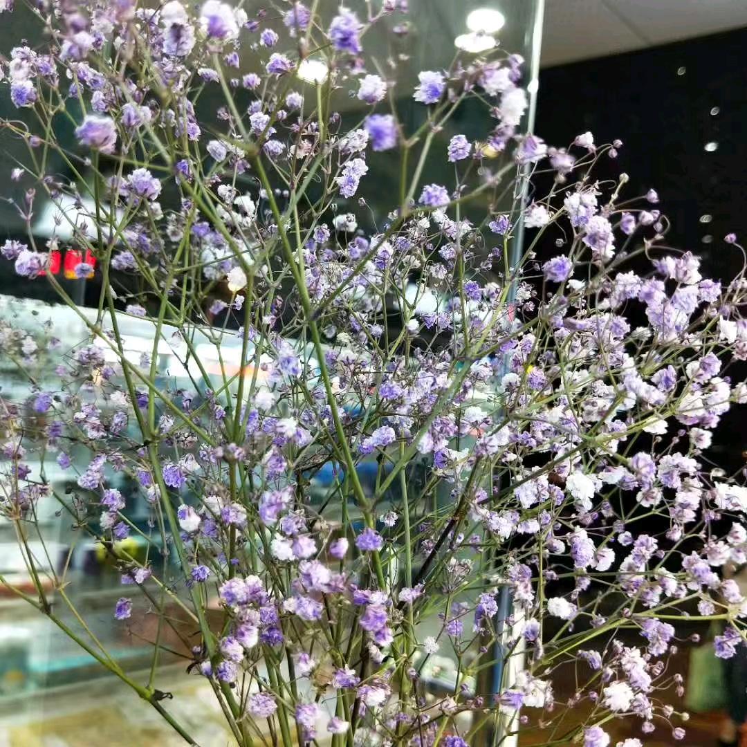 🍀୧⍤⃝小郑ᥫᩣ༠