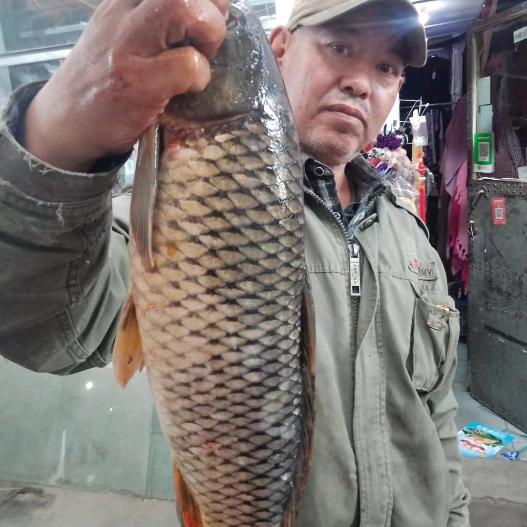 水舞世界