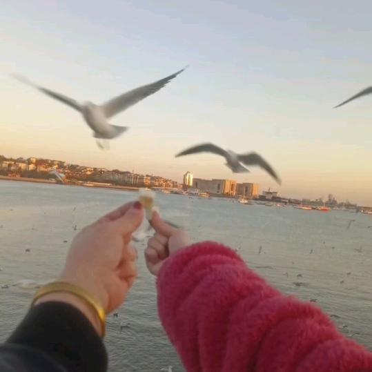 心