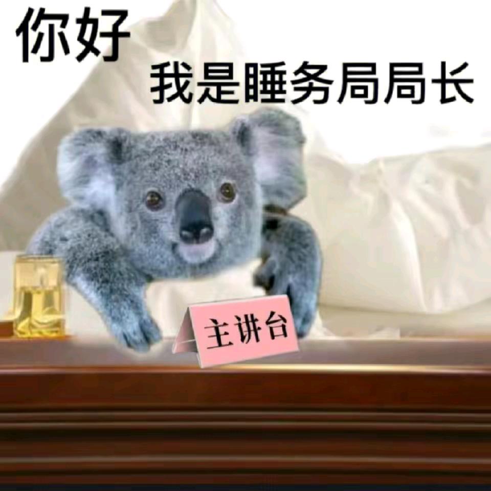 局长大人