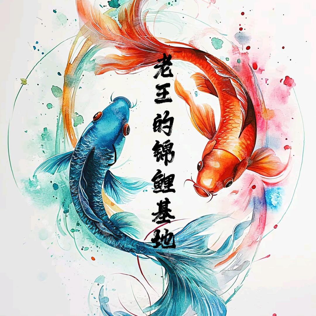 老王的锦鲤基地