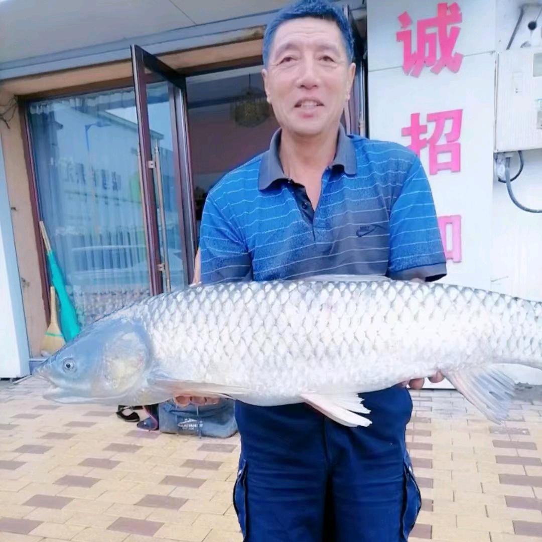 游钓江湖  一老翁