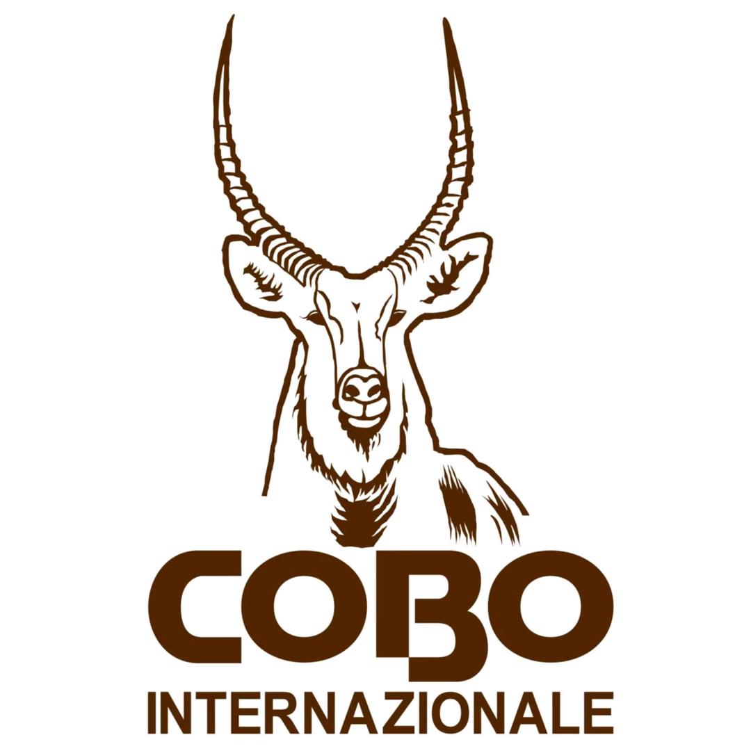 COBO轻奢女包店