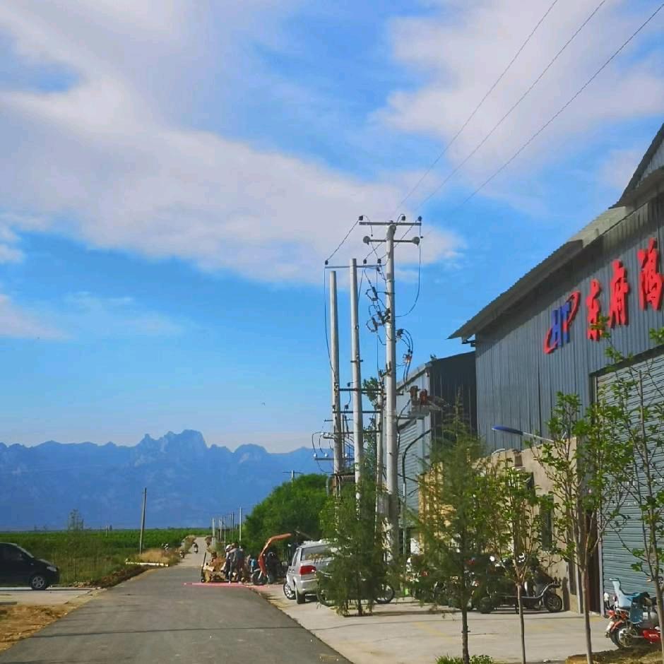 钢化中空夹胶玻璃 东府鸿泰