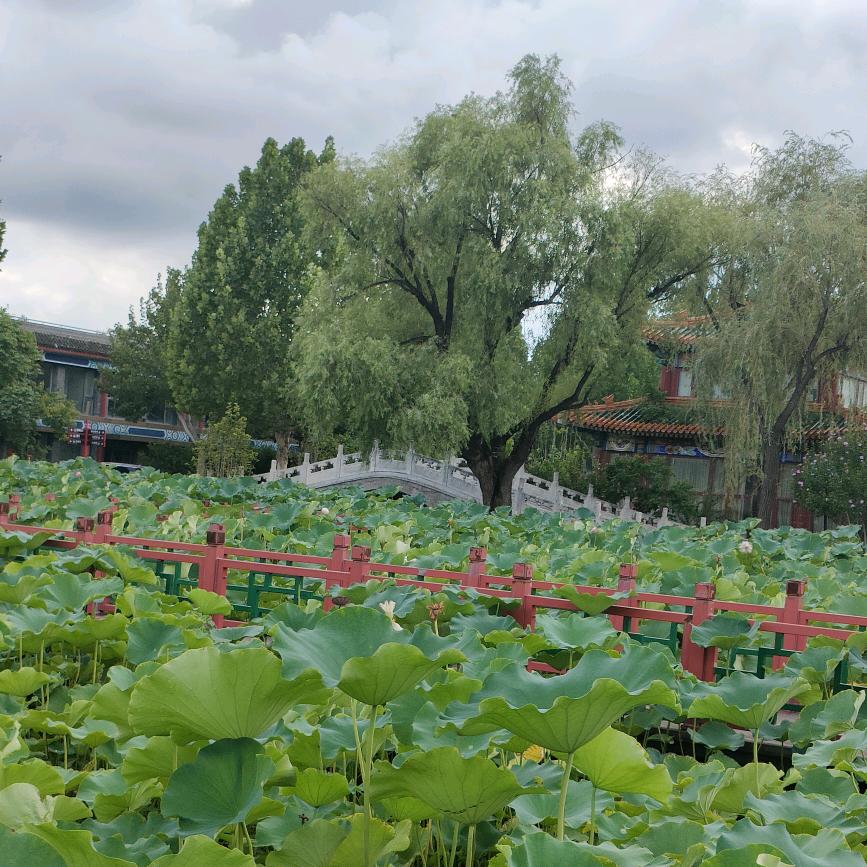 余生🍀取关误加谢谢