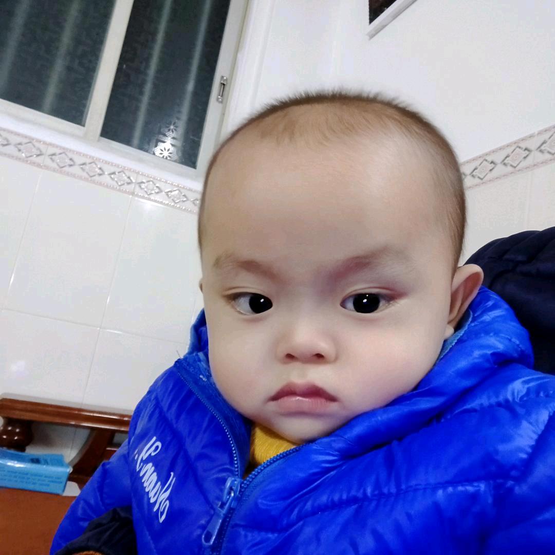 zhu8291371