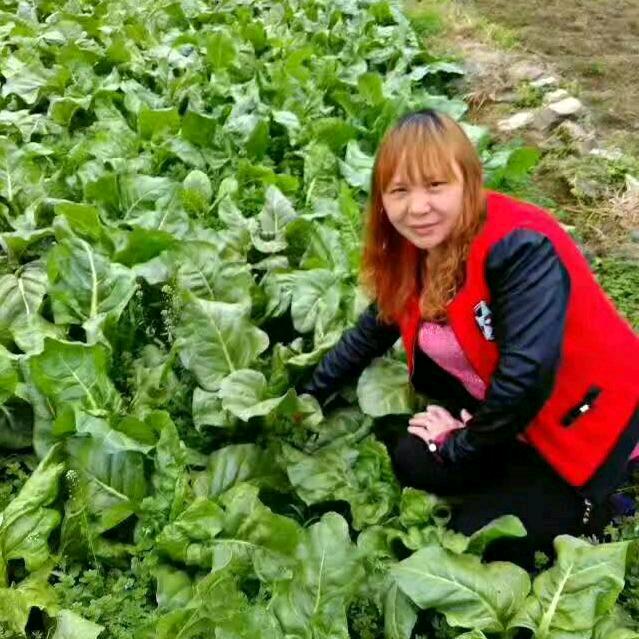 樊姐，道真隆兴乐队演艺