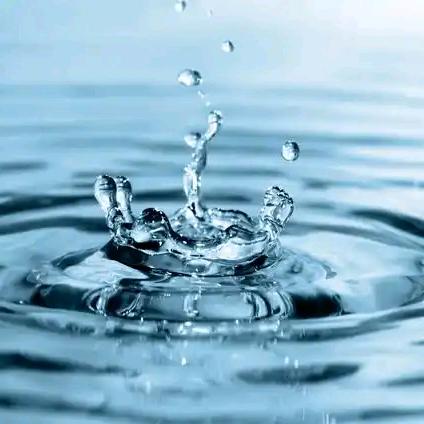 🌼静🍀心🍁如🌹水