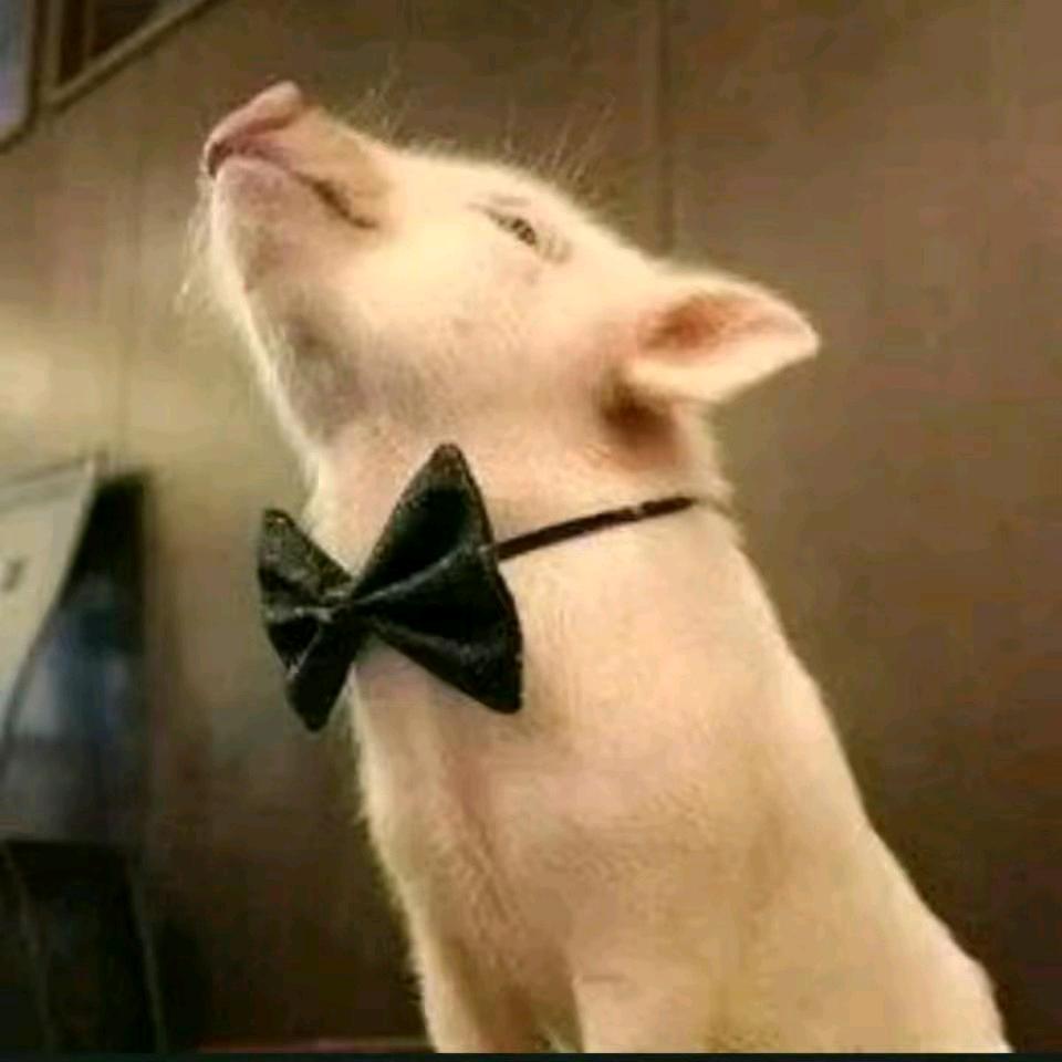 阿静คิดถึง จุ๊บ在旧岛听风