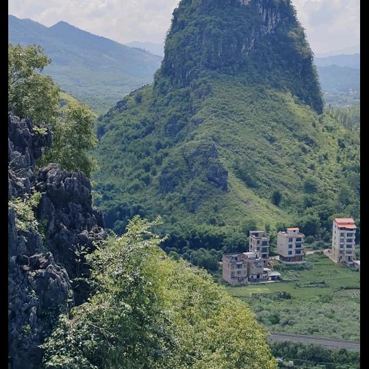 杨伟红：