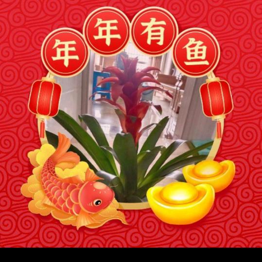 微笑的太阳