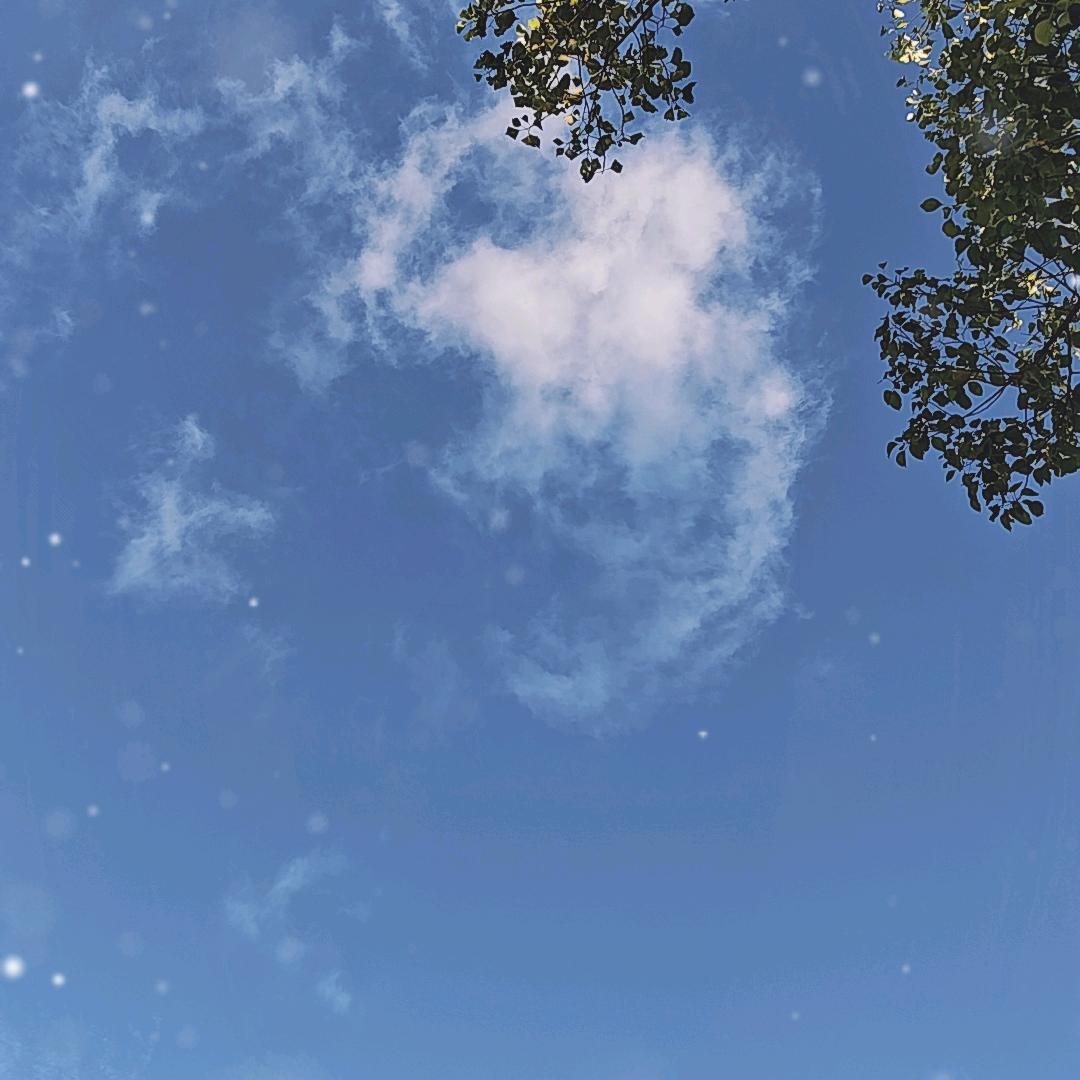 悟空