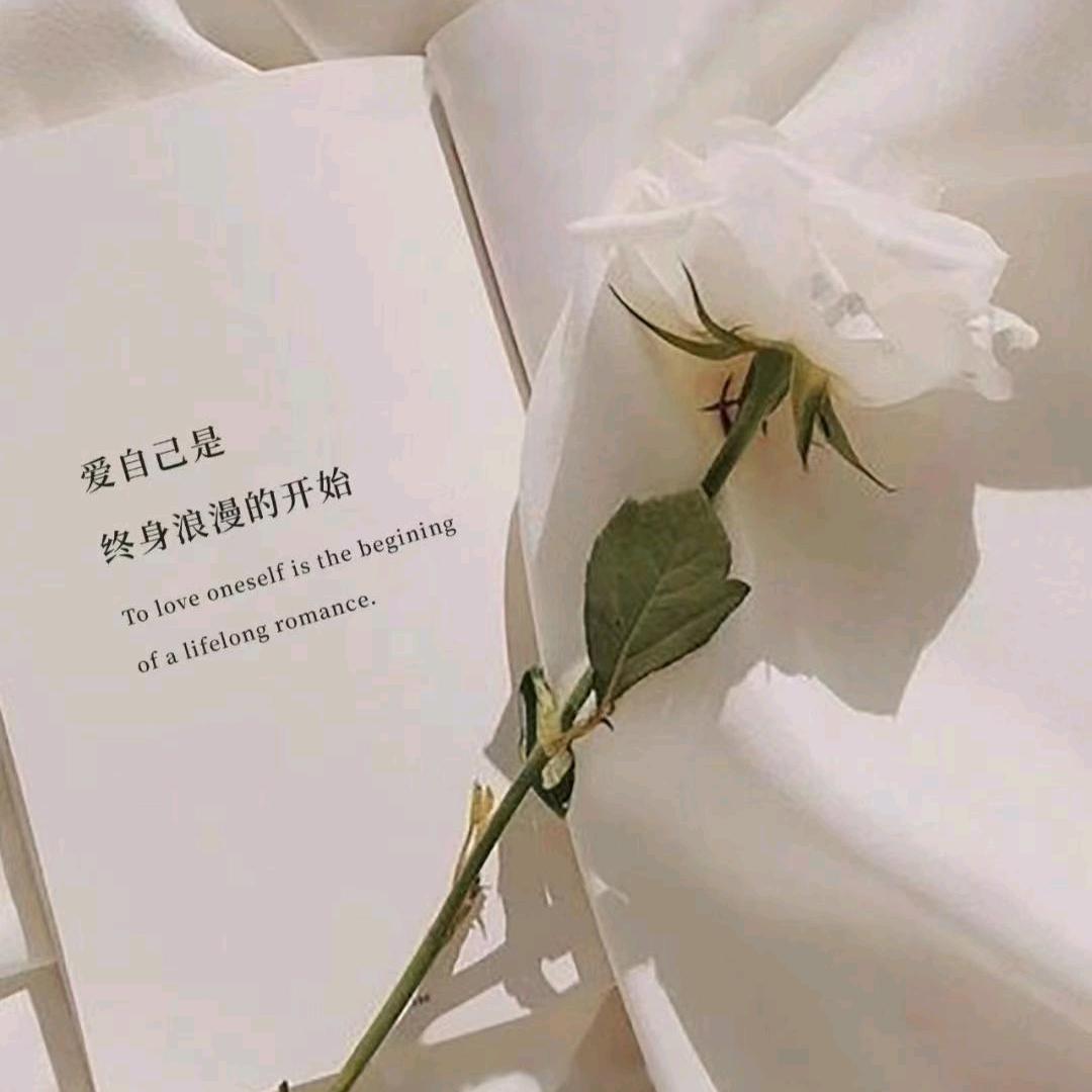 乌市装修找孟琪