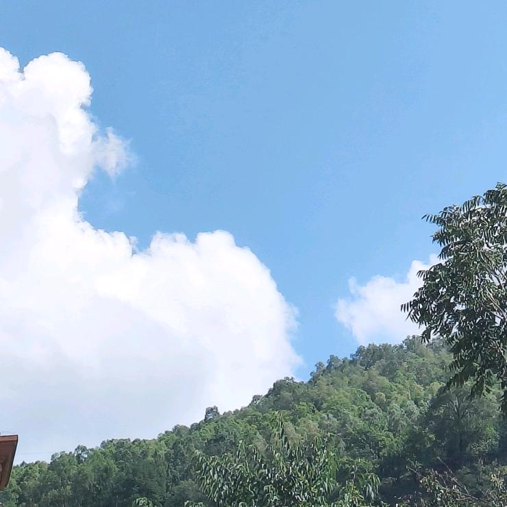 ☁️·