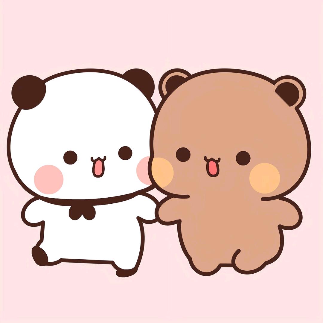 一二&布布✨