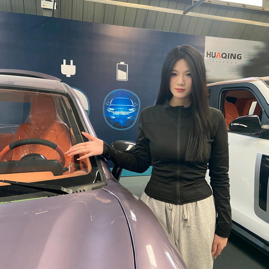 新能源低速四轮车-华庆1