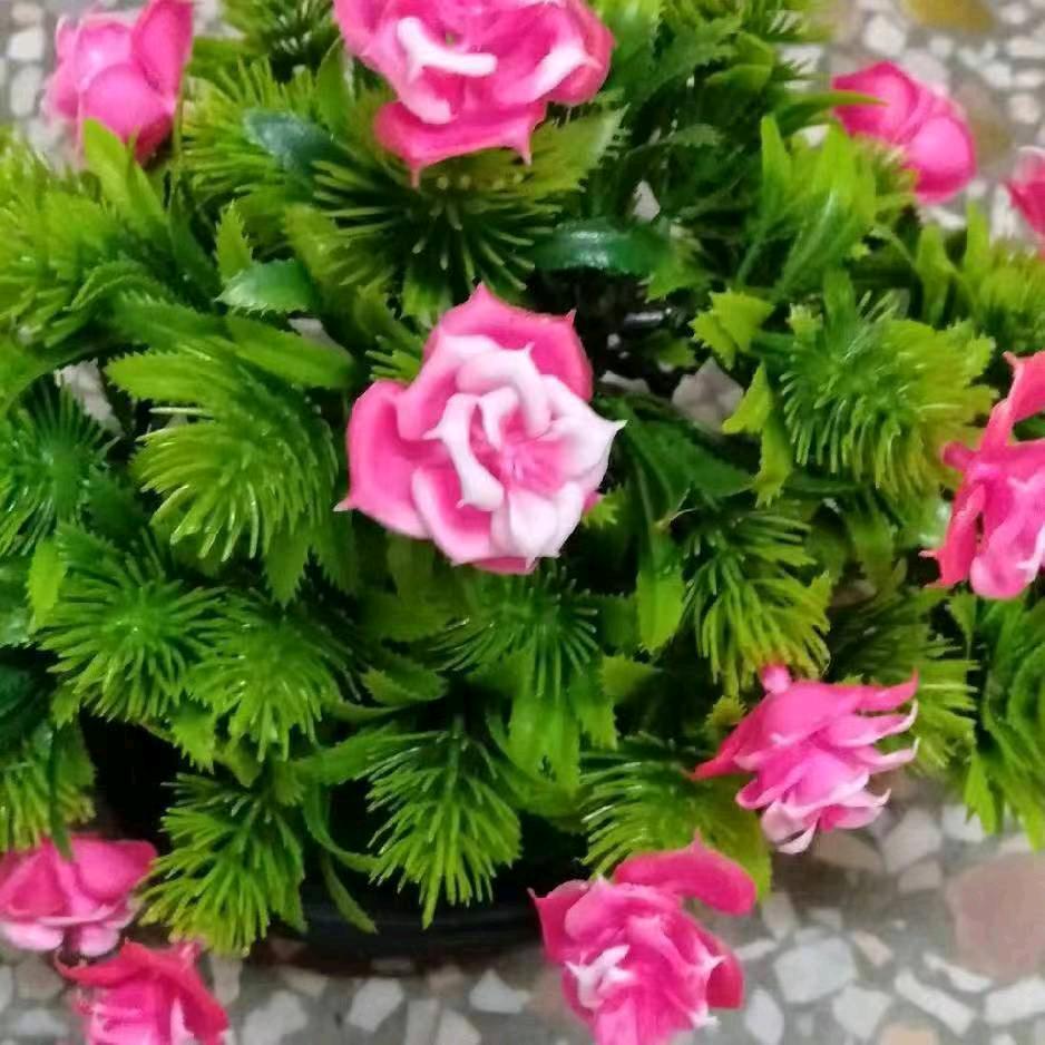 乡村军哥