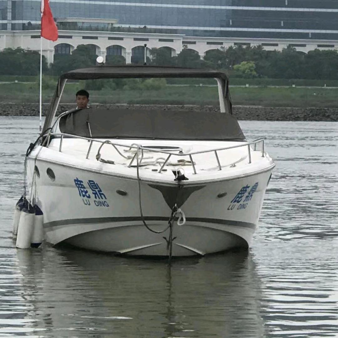 感情好奇