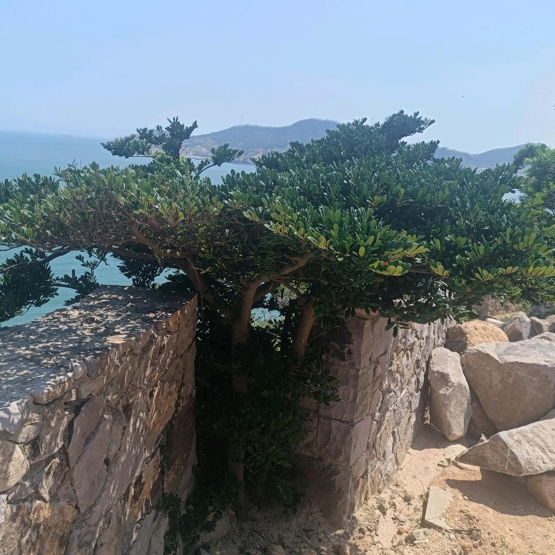 🍒ℒᎭℯ⃝情࿐💐