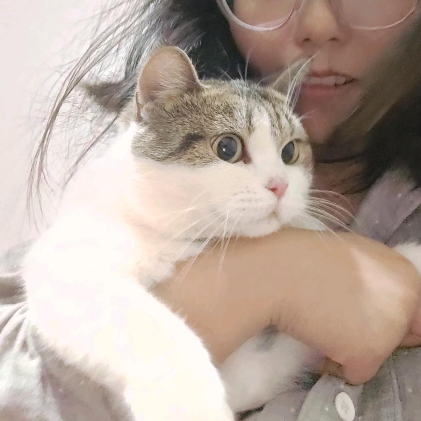 欧 嘞