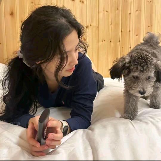 县吴雅韵百货