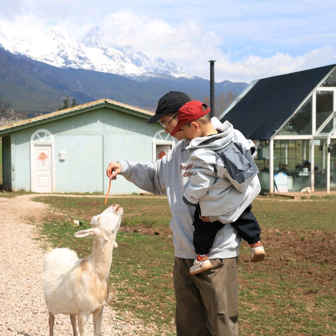 康康在成长～（羊毛衫版）
