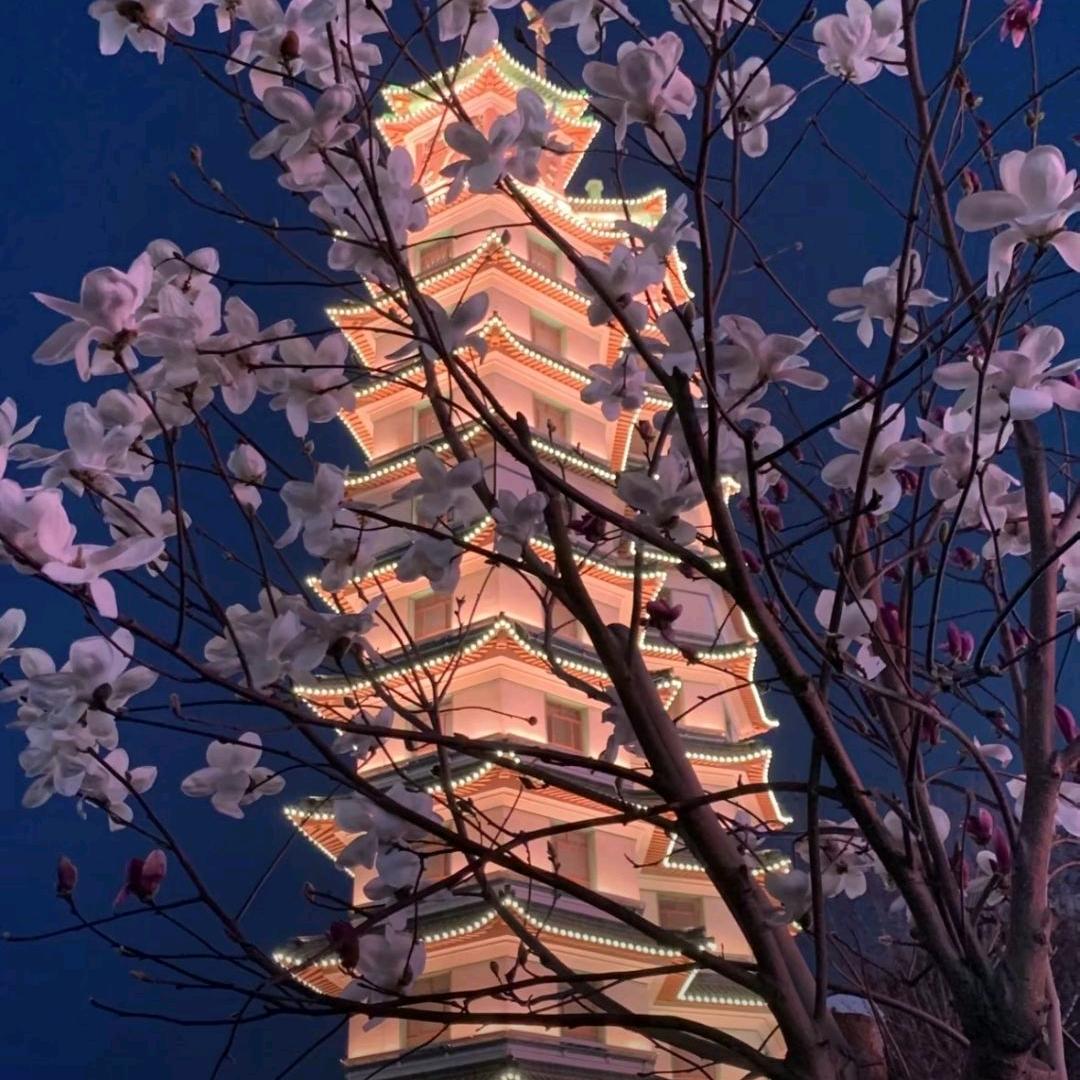 好诗赏析
