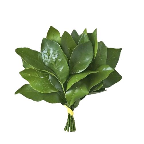 下个转弯