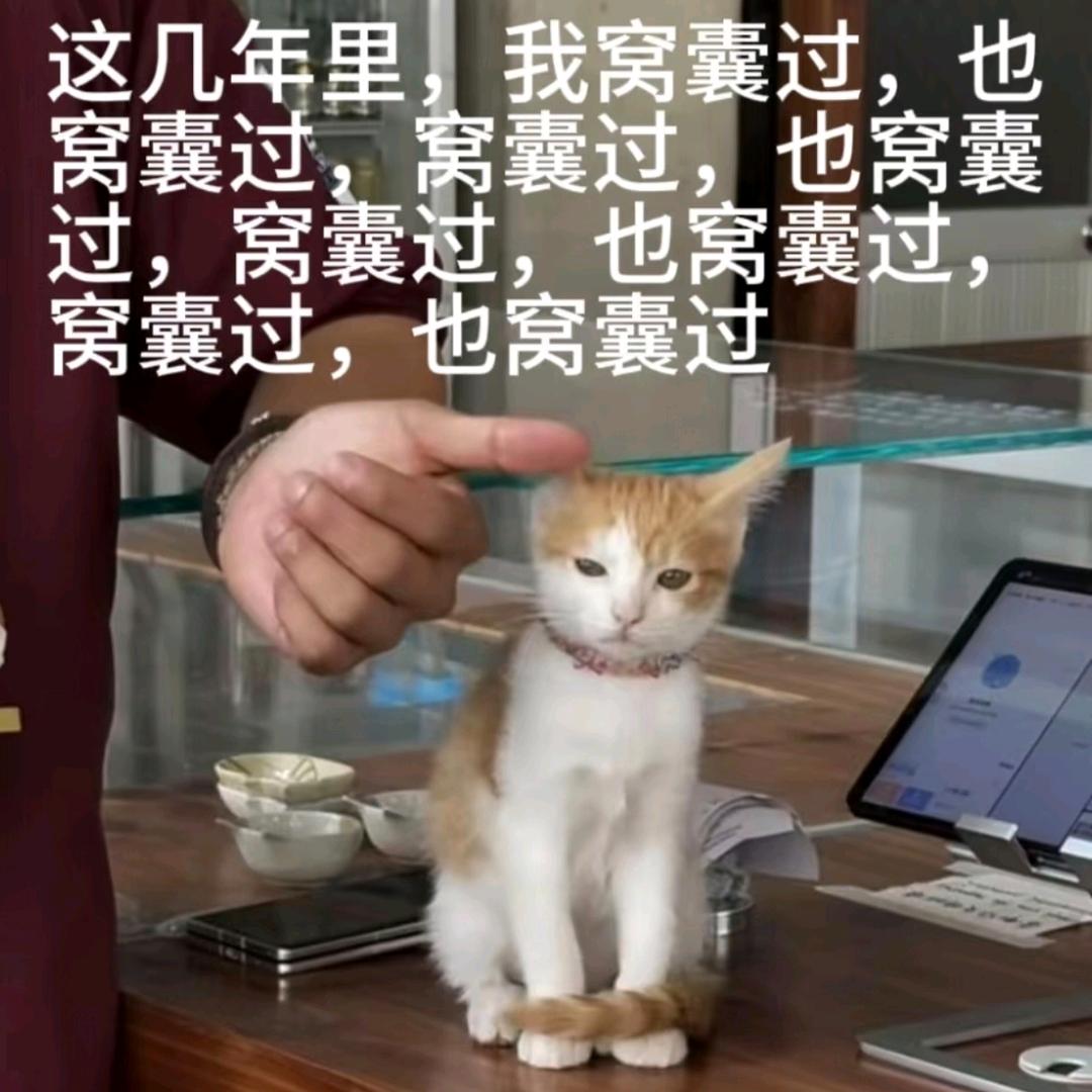 高冷有洁癖的霸总对挑着粪担的俺一见钟情