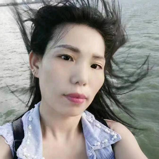 小万油茶苗