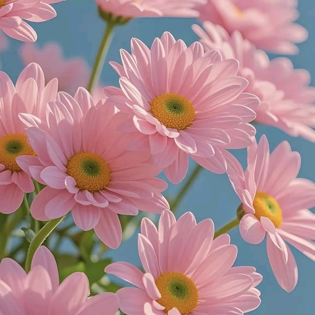 2024年8月16日偏爱