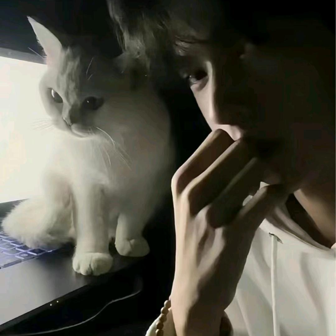暴躁小薯条