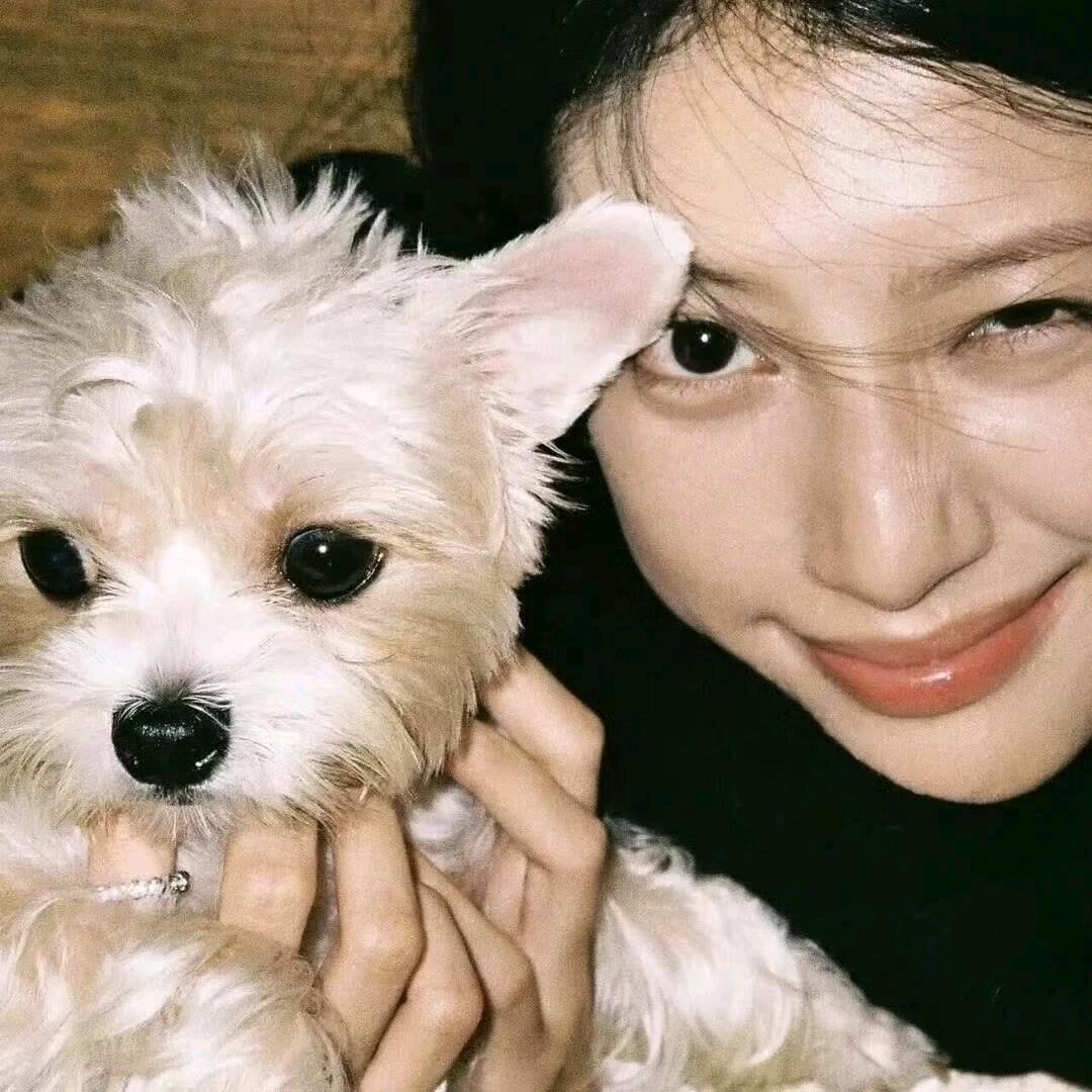 不吃香菜..