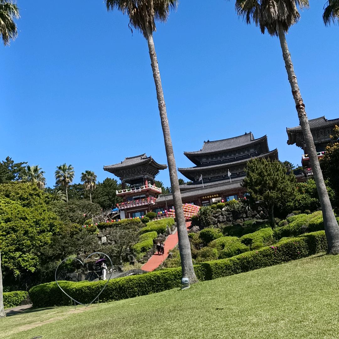 🍭诺一
