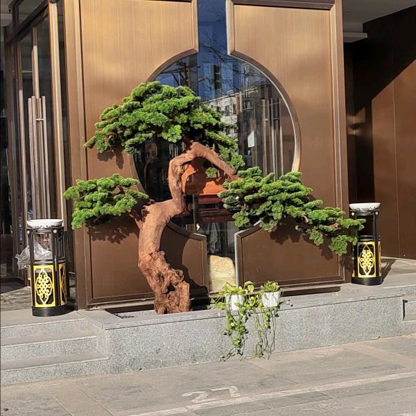 随风袁