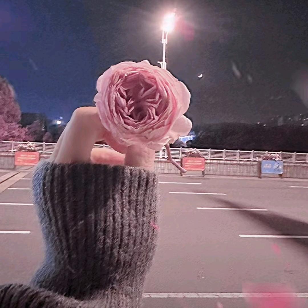 未 央