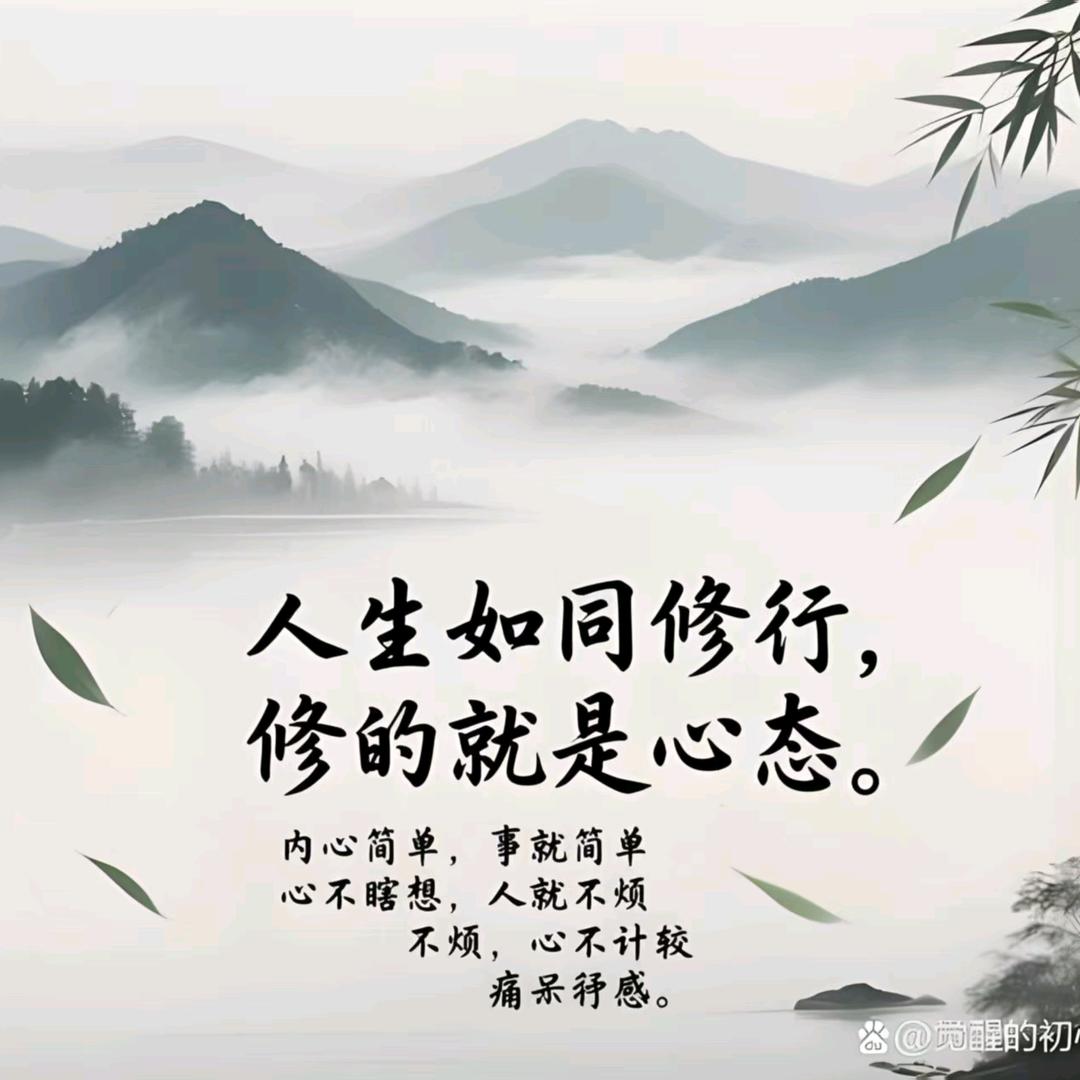 何哥A1